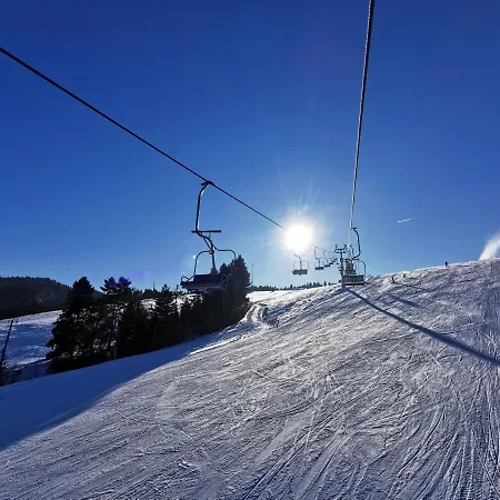 Jaworki Dream 别墅 什恰夫尼察