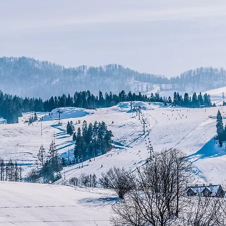 别墅 Jaworki Dream *