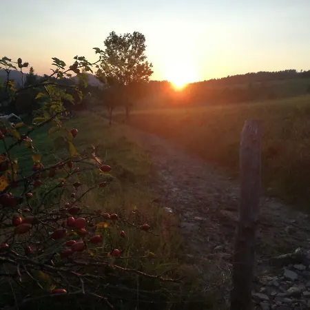 Jaworki Dream 别墅 *