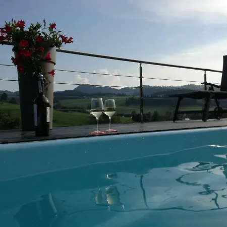 Jaworki Dream 别墅