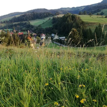 Jaworki Dream 别墅 *