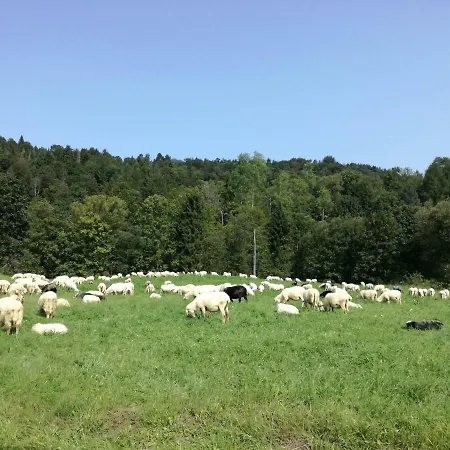 Jaworki Dream Villa Szczawnica