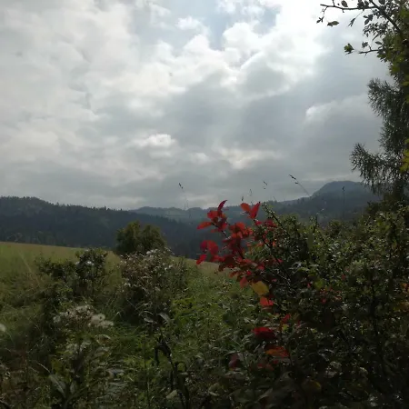 Jaworki Dream 别墅