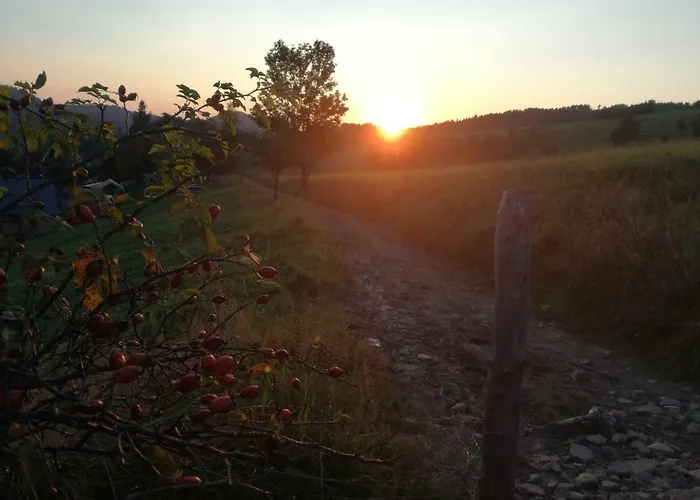 Jaworki Dream Villa *