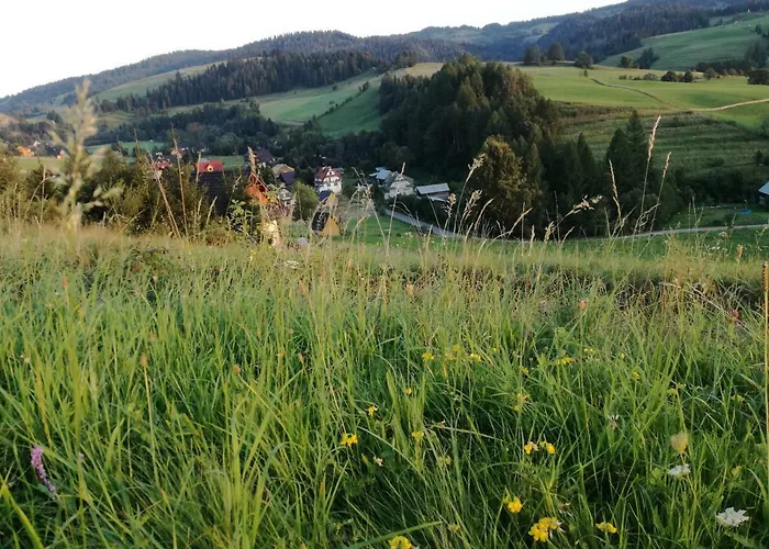 Jaworki Dream Villa *