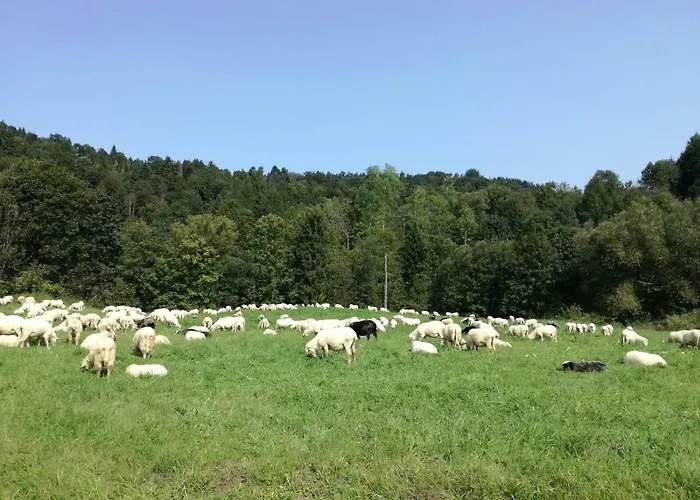 Jaworki Dream Villa Szczawnica